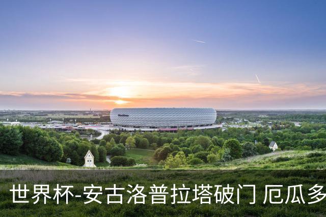 世界杯-安古洛普拉塔破门 厄瓜多尔2-1逆转德国出线