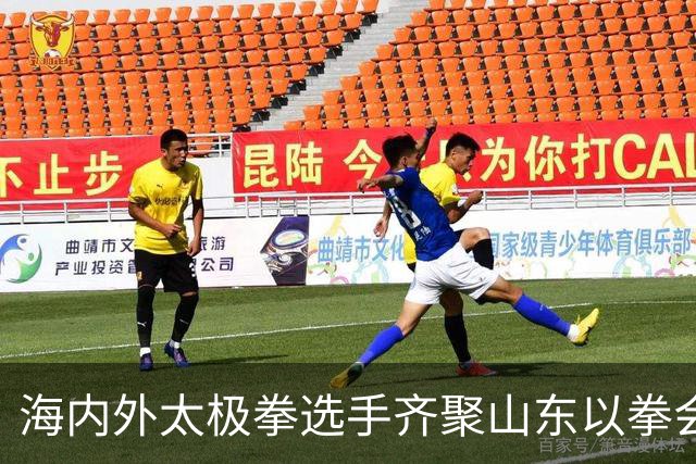 海内外太极拳选手齐聚山东以拳会友