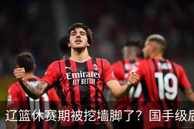 辽篮休赛期被挖墙脚了？国手级后卫恐被交易：变相逼着赵继伟走人